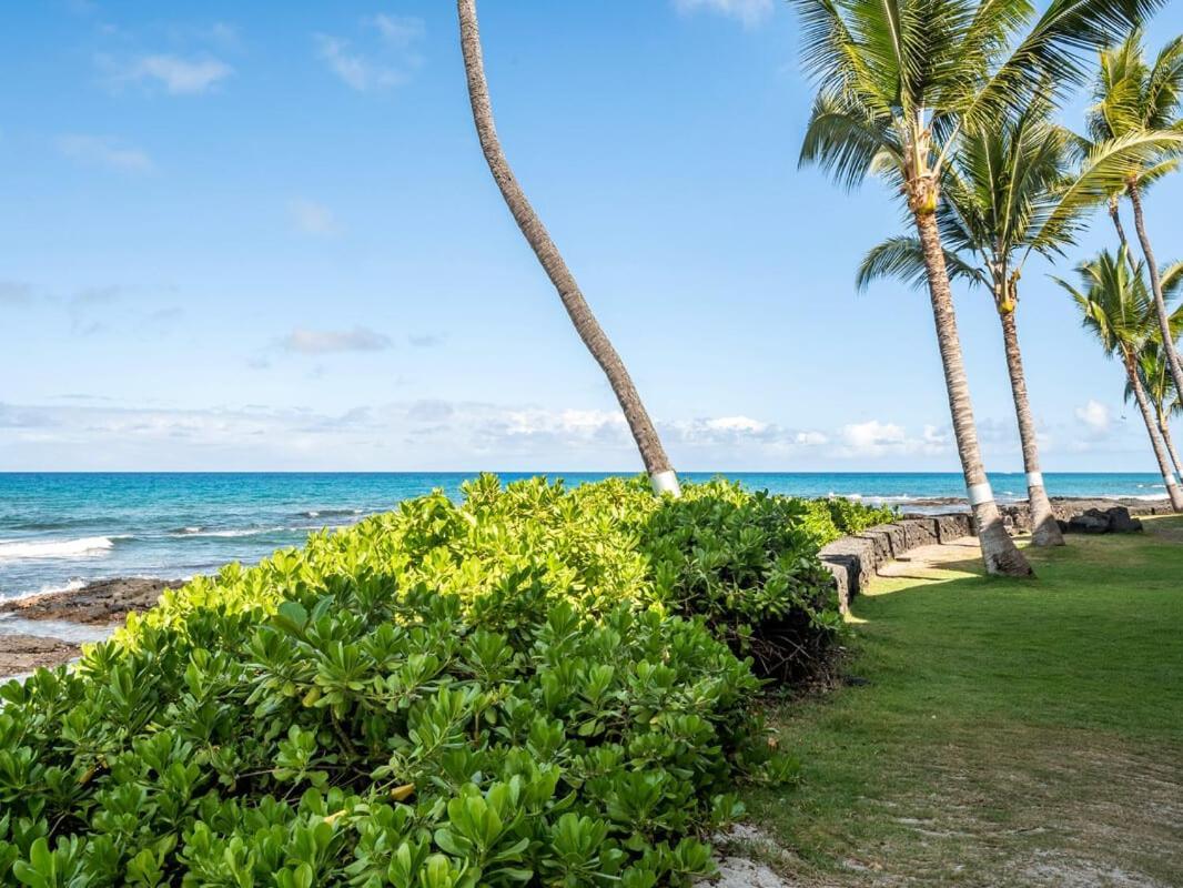 Oceanfront 1 Bedroom 2 Bathroom With Large Lanai - Kona Bali Kai 218 カイルア・コナ エクステリア 写真